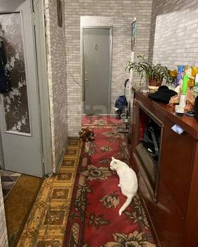 2-к квартира, вторичка, 53м2, 2/10 этаж