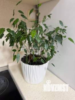 2-к квартира, вторичка, 51м2, 9/10 этаж