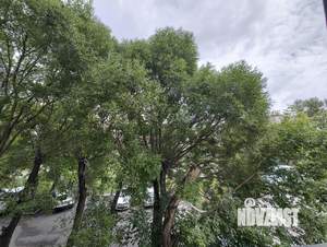 2-к квартира, вторичка, 55м2, 2/9 этаж