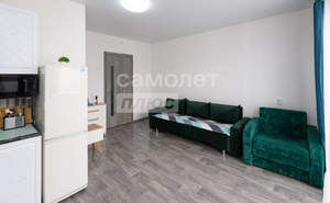 Студия квартира, вторичка, 24м2, 10/10 этаж